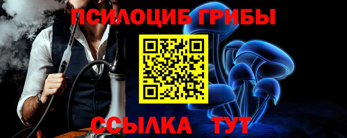 Октябрьский  Псилоцибиновые грибы Psilocybine cubensis  Вход с VPN 